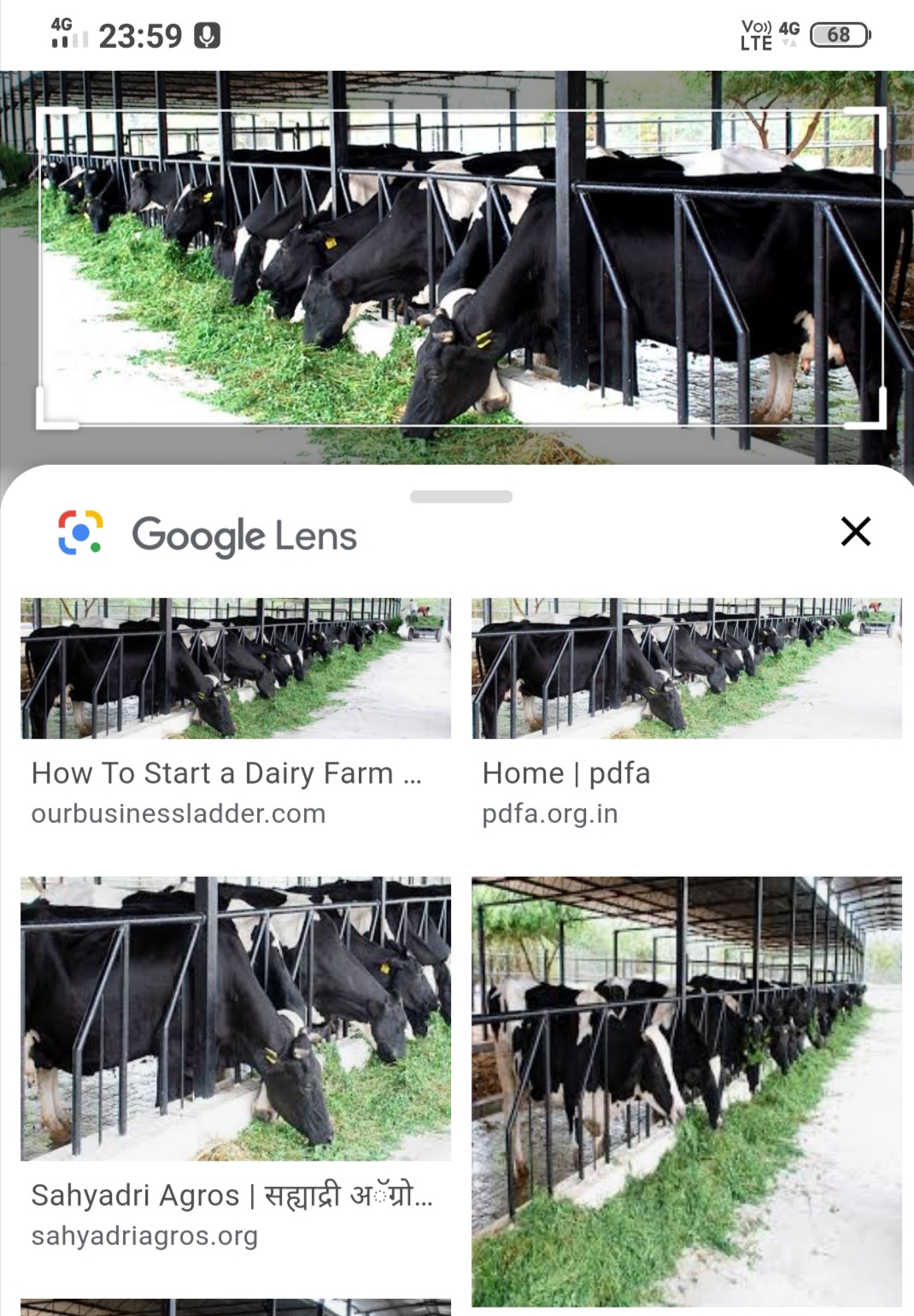 Dairy farm in rural area 